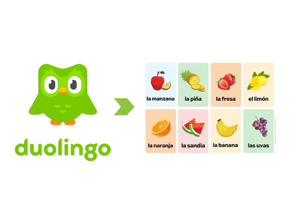 DuoLingo Data Extractor